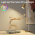 Dott Arts Desk Lamp,USB Clip On Light with 3 Color Modes,LED 10 Levels Brightness Reading Lamp, 360° Gooseneck Book Light,Eye-Care Reading Light f...