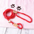 POPETPOP Nylon Dog Slip Training Leash Collar Rope for Pets Training (Red)...