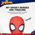Marvel Comics for Pets Spiderman Rope Flyer Dog Toy | Superhero Spiderman Toy for Dogs, Flyer Toy Dog Rope Toy for Toss and Tug | Marvel Dog Toy O...