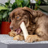 PET FACTORY 100% Made in USA Beefhide 12" Roll Dog Chew Treat - Natural Flavor, 1 Count/1 Pack...