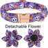 ARING PET Halloween Dog Collar Cute Pumpkin Dog Collar with Flower, Cotton Purple Skull Bat Dog Collars Girl Daisy Puppy Collar with Metal Buckle...