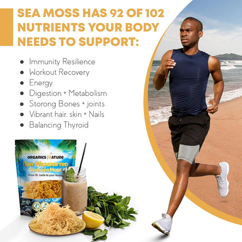 Organics Nature Raw Wildcrafted Sea Moss | Organic Wildcrafted & Non-GMO Certified | Dr Sebi Approved | Make 5 Jars of Sea Moss Gel | Immune Suppo...