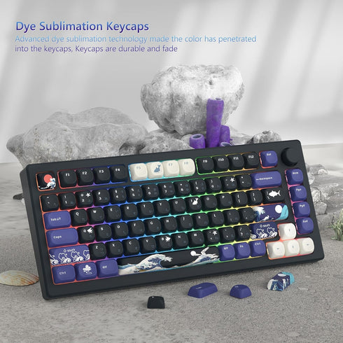 Womier MOA Keycaps, PBT Key caps, Kanagawa Japanese Keycaps 75 Percent, Custom Keyboard Keycaps Set Gradation Dye-Sublimation for 61/64/68/84/87/1...