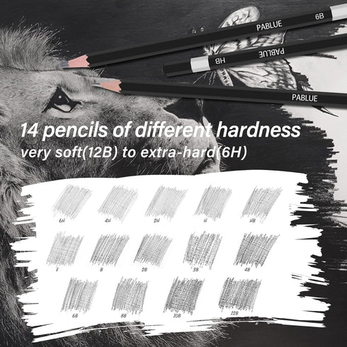 Professional Triangular Drawing Sketching Pencil Set,6H,4H,2H,H,HB,F,B,2B,3B,4B,6B,8B,10B,12B Graphite Shading Pencils for Beginners,ProArtists,Dr...