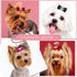Dog Hair Crown Bows with Clips for Small Dogs, Bulk 20pcs Cute Handmade Pet Dog Bows Girl Clips, Puppy Yorkie Dog Hair Grooming Bowknot Alligator ...