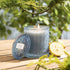 LA JOLIE MUSE Lemon Candle Citrus Mint Scented Candles, Candles for Home Scented, Gifts for Women & Men, Natural Soy Blue Candle, 6 Oz 40 Hour Bur...