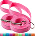 2-Pack 6FT Reflective Dog Leash for Large&Medium and Small Dogs, Strong and Durable Nylon Leashes for Walking and Training, 6 Foot Dog Leash with ...