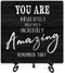 Inspirational Desk Decor, You Are Absolutely Positively Incredibly Amazing Sign With Iron Stand, Encouragement Gifts For Women Men Friends, Motiva...