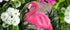 Spoontiques - Garden Décor - If Tears Could Build A Stairway Memorial Stepping Stone - Decorative Stone for Garden...
