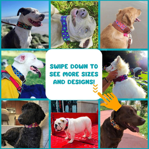 Handmade Dog Collar Adjustable Size S - Unique Pet Accessories, Handcrafted in Mexico, Unique Design, Durable and Strong for Your Dog (Black and W...