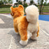Shiba Inu Plush Corgi Pillow Cute Dog Doll Stuffed Animal Plush Toy 12 Inches (Brown)...