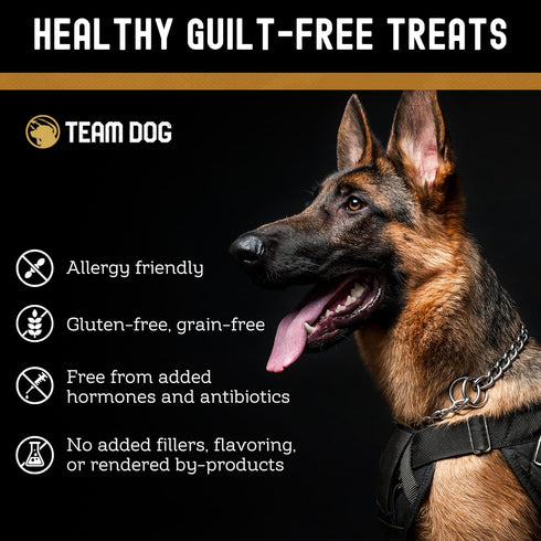 Beef Trachea Dog Chews | Single Ingredient Dog Treat | 100% Freeze Dried Beef Gullet Sticks for Dogs | Supports Healthy Teeth & Gums | All Natural...