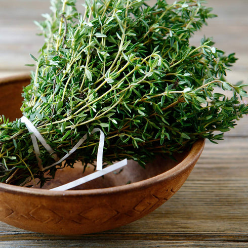 Valdena Bio Organic Echinacea Rosehip Herbal Tea Infusion (Pack of 3, total of 60 individually wrapped Tea Bags) Immunity boost, Immune support, W...