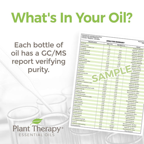 Plant Therapy Clove Bud Essential Oil 100% Pure, Undiluted, Natural Aromatherapy, Therapeutic Grade 10 mL (1/3 oz)...