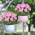 TOCHGREEN Artificial Fake Flowers Purple Pink Geranium Silk Flowers Outdoor UV Resistant Plant Bush 2 Bundles Faux Flowers Geraniums for Outdoors ...