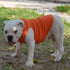 Lovelonglong 2019 Summer Pet Clothing, Dog Clothes Blank T-Shirts Ribbed Tanks Top Thread Vests for Large Medium Small Dogs 100% Cotton Orange S...