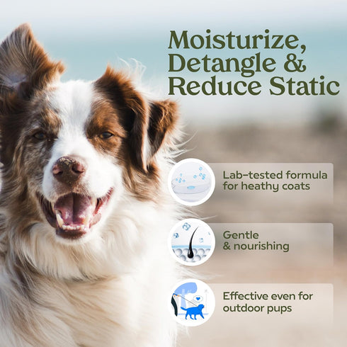 PAWFUME Premium Grooming Spray Dog Spray Deodorizer Perfume for Dogs - Dog Cologne Spray Long Lasting Dog Sprays - Dog Perfume Spray Long Lasting ...