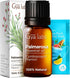 Gya Labs Palmarosa Essential Oil for Diffuser - 0.34 Fl Oz - 100% Pure Natural Palmarosa Oil for Skin, Aromatherapy, Massage, Candles Making - Swe...