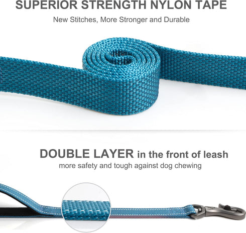 Fida 4 FT Heavy Duty Dog Leash with 2 Comfortable Padded Handles, Traffic Handle & Advanced Easy Snap Hook, Reflective Walking Lead for Large, Med...