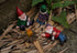 Danmu Polyresin Gnomes Garden Decorations, Garden Gnomes, Garden Gnomes Outdoor Clearance, Miniature Figurines, Fairy Garden Accessories, Fairy Ga...