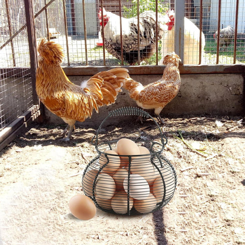 Egg basket-Farmhouse Round Wire Egg Baskets for Fresh Egg With Handle,Metal Egg Collecting Basket for Gathering Fresh Egg,Basket for Countertop Ho...