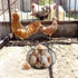 Egg basket-Farmhouse Round Wire Egg Baskets for Fresh Egg With Handle,Metal Egg Collecting Basket for Gathering Fresh Egg,Basket for Countertop Ho...