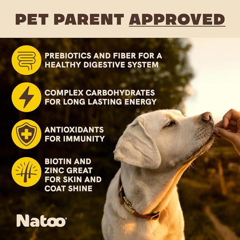 NATOO Dog Treats for Large Breed, Crunchy Biscuits Oats Banana and Honey, Natural Dog Treats, Rich in Omega 6, Prebiotics and Fiber, Antioxidants ...