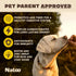 NATOO Dog Treats for Large Breed, Crunchy Biscuits Oats Banana and Honey, Natural Dog Treats, Rich in Omega 6, Prebiotics and Fiber, Antioxidants ...