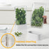 vacane Herb Keeper for Refrigerator, Fresh Herb Saver Herb Storage Containers, Cilantro Container for Fridge Asparagus Container, Dishwasher Safe...