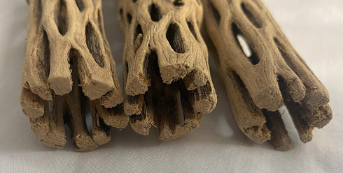 Awesome Aquatic Natural Cholla Choya Wood Combo 4 Pieces 2-12" & 2-6” Habitat for Shrimp Hermit Crabs Plecos Reptiles Aquarium Driftwood Decoratio...