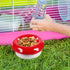 Ipetboom Ceramic Bowl Mushroom Kitten Food Bowl Guinea Pig Bowl Ceramics Water Bowl Feeding Tray Porcelain Nest for Rabbit Guinea Pig Hedgehog Squ...