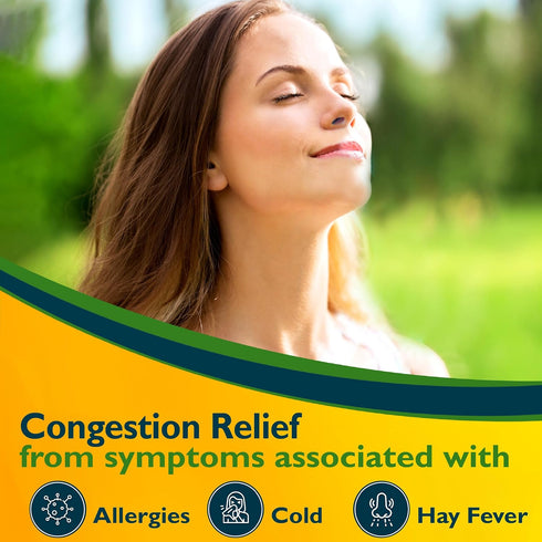 Benzedrex Nasal Decongestant Inhaler, 1 Count (Pack of 1)...