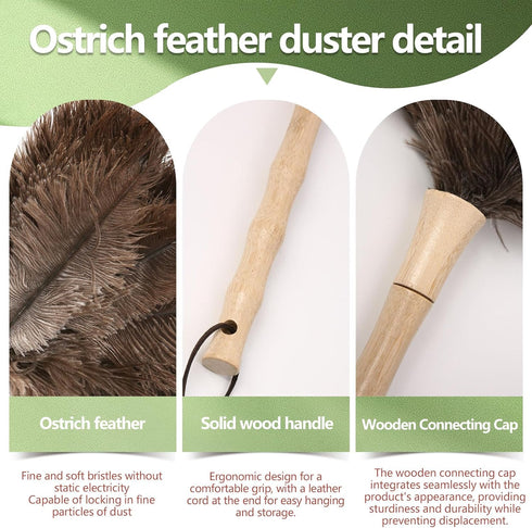 Ostrich Feather Duster, 16-Inch, 2-Pack, Reusable Design for Effortless Cleaning of Delicate Items, Antiques, Electronics, and More – Ideal for Ho...