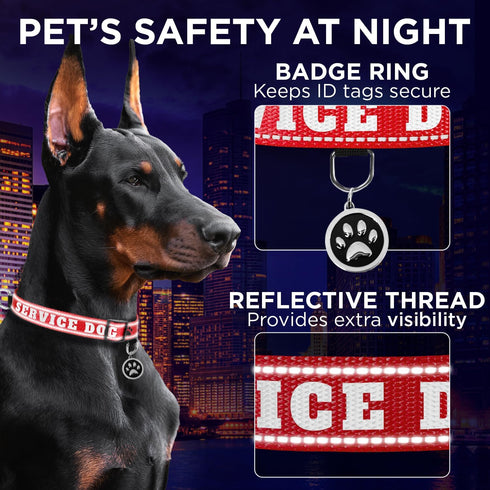 TECEUM Reflective Pet Collar – Red - Service Dog – S – Basic Nylon Dog Collar – Quick Release Buckle – Fits Small, Medium and Large Dogs, Puppies,...