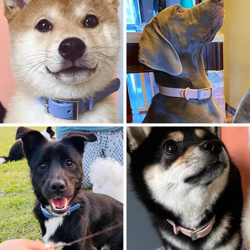 Waterproof Dog Collar, Adjustable Odor Proof Dog Collars Easy to Clean, Soft Comfortable Pet Collars for Large, Medium Small Dogs (XL, Navy Blue, ...