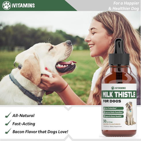 Milk Thistle for Dogs | Supports Liver and Kidney Health | Milk Thistle for Dogs Liver Support | Dog Milk Thistle | Dog Liver Support | Dog Liver ...