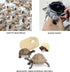 4PCS Elephant Tortoise Animal Life Cycle,Insect Growth Cycle Model,Hand Painting Animal Figures,Educational Toy,Cake Toppers Christmas Birthday Gi...