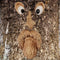 WAYDA Tree Faces Decor Outdoor, Old Man Tree Hugger Bark Ghost Face Facial Features Decoration for Outdoor Yard Art Garden, Whimsical Sculpture Ga...