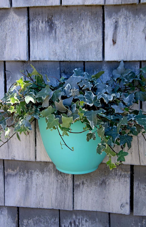 The HC Companies 8 Inch Garden Wall Planter - Plastic Hanging Plant Pot for Indoor Outdoor Flowers, Herbs, White...