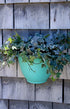 The HC Companies 8 Inch Garden Wall Planter - Plastic Hanging Plant Pot for Indoor Outdoor Flowers, Herbs, White...
