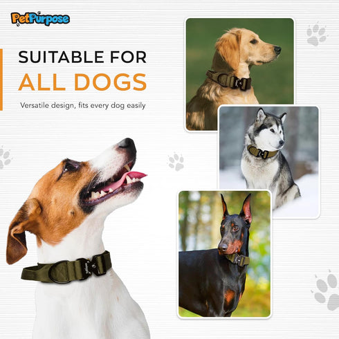 2 Inch Tactical Dog Collar with Handle for Training, Hunting, and Pet Control, Heavy Duty and Durability Military Nylon with Metal Buckle, Large D...