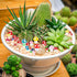 50 Pcs Bulk Cute Tiny Mushrooms, Colourful Mini Figurines Little Mushroom Mushroom Model Decoration Indoor Outdoor Decor Garden Mushroom Landscape...