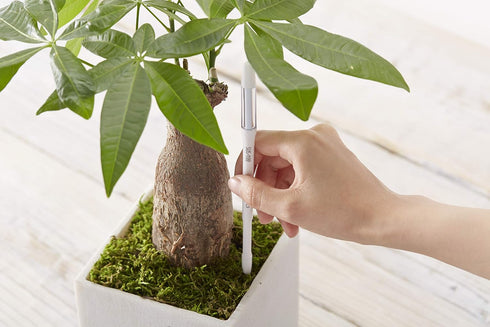 Aquameter - Small - Black - Bundle of 2 - Leave-in Soil Moisture Meter for Potted Plants - Plant Water Sensor - Refillable...