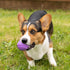 Furhaven 3-Pack 2.5" Squeaky Ball Dog Toys for Small/Medium Dogs, Fits Most Standard Launchers - Fetch 'N Fun TPR Squeaky Ball Toy Set - Space Pac...