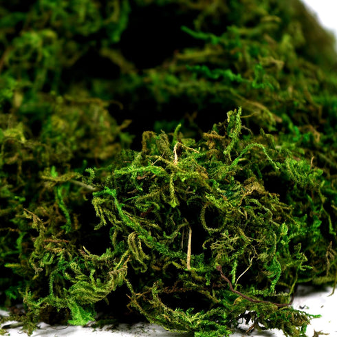 BYHER Artificial Moss Fake Green Grass for Centerpieces Home Kitchen Garden Decor (3.5OZ, Fresh)...
