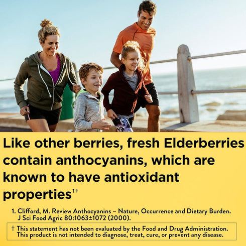 Nature Made Elderberry with Vitamin C and Zinc, Dietary Supplement for Immune Support, 60 Elderberry Gummies, 30 Day Supply...