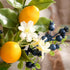 Valery Madelyn 6 Packs Spring Summer Picks with Lemons Blueberry Eucalyptus Leaves, Artificial Fruit Lemon Picks with Greenry, Summer Lemon Branch...