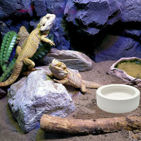 2 Pcs Reptile Food Bowl Ceramic Water Feeder Bowls Anti- Escape Mini Reptile Feeder for Lizard, Gecko etc, Round...