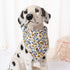 Mile High Life | Girl Dog Collars | Cute Bandana Collar | Soft Poly Cotton Fabric Collars for Small Dogs | Flower & Fruit Pattern(Bindweed, Collar...