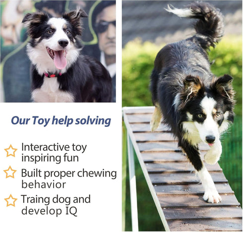 Fida Dog Rope Toys 4 Pack, Puppy Teething Sturdy Cotton Chew Tug Ropes Indoor/Outdoor, Exercise Interactive Tug o'war Toys Set for Boredom Small-M...